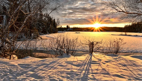 Winter Wellness Tips