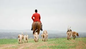 Hunting: The Tradition