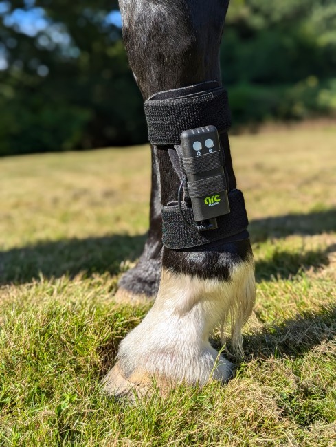 July – Hard Ground