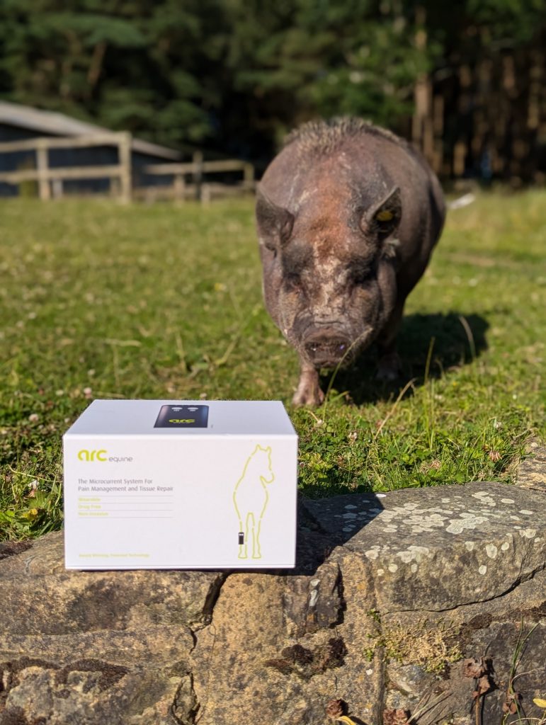 ArcEquine Box