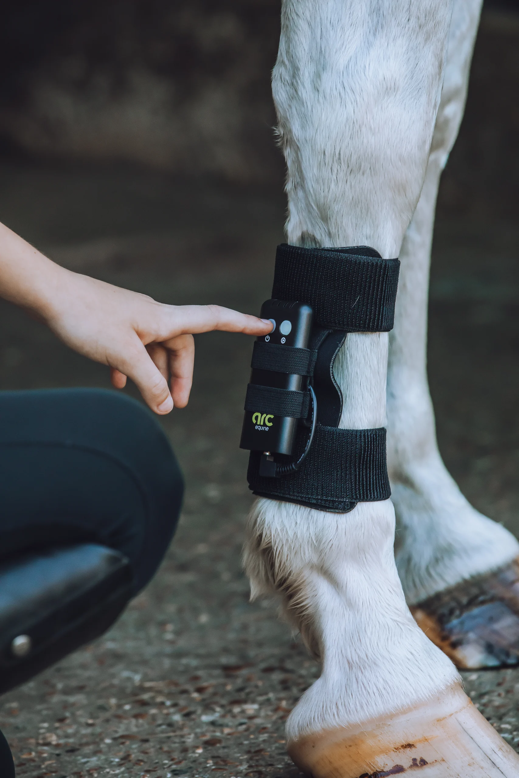How ArcEquine Supports Soft Tissue Recovery in Horses