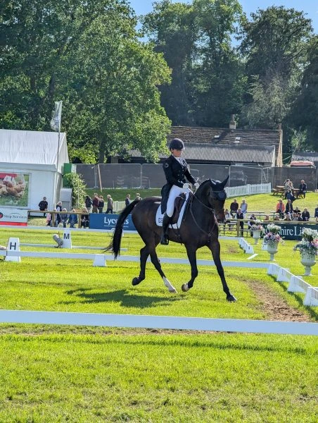 Recovery Routines for Competition Horses
