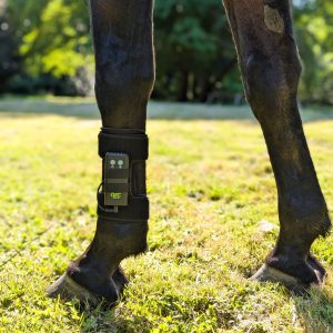 ArcEquine Complete Kit